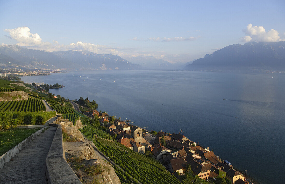 View over vineyards and Saint Saphorin to lake Geneva, Lavaux, Canton of Vaud, Switzerland