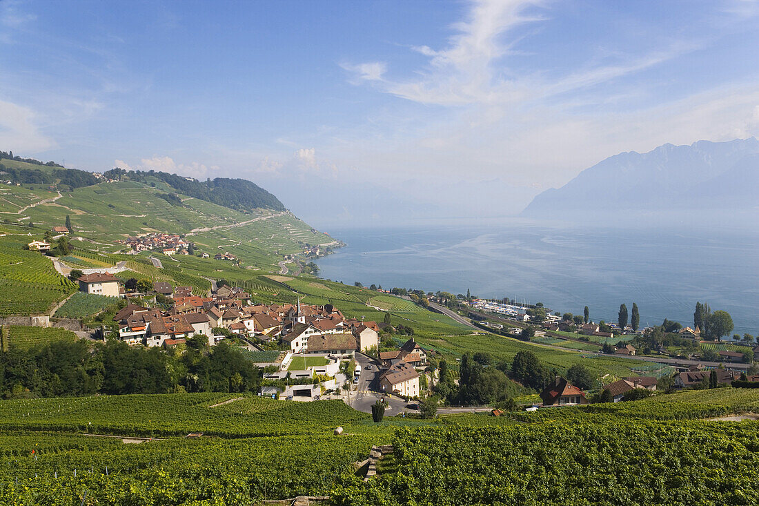 View towards lake Geneva, Lavaux, Canton of Vaud, Switzerland