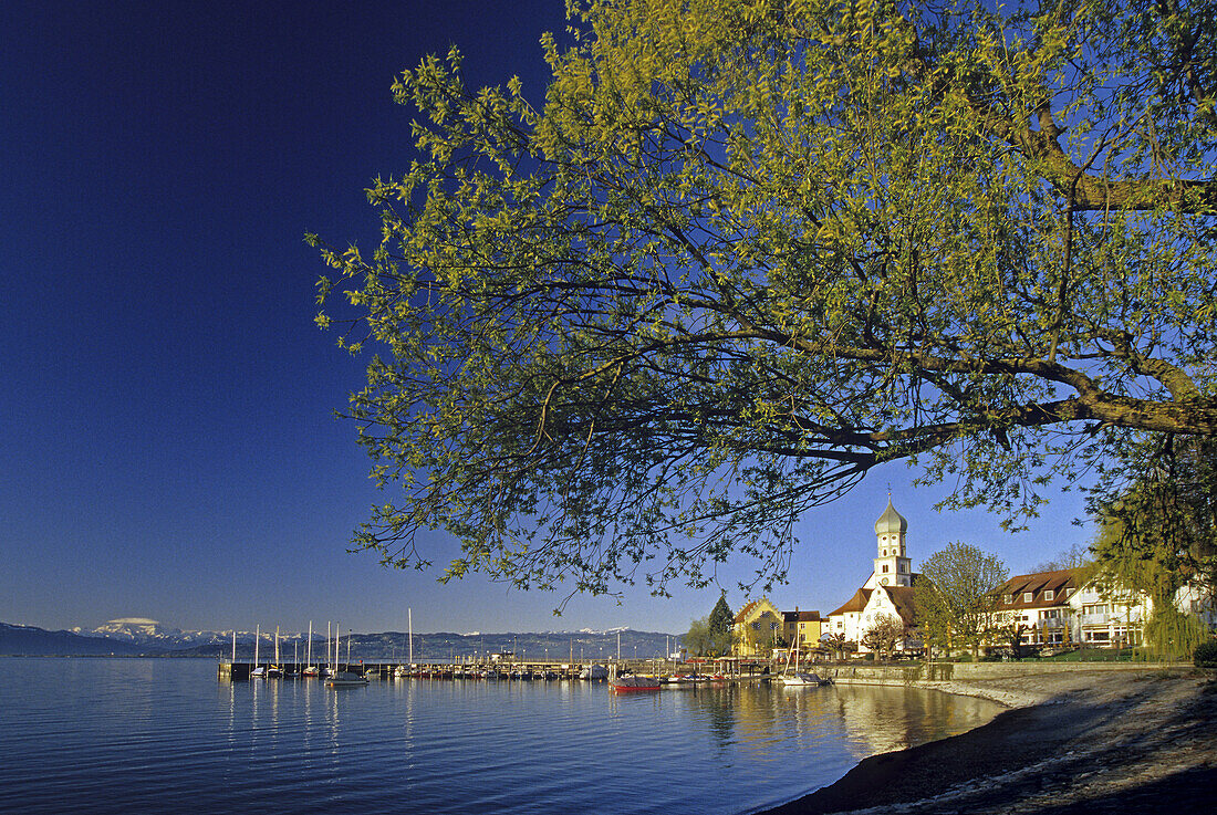 Church and castle at the lakeshore in the sunlight, Wasserburg, Lake Constance, Bavaria, Germany