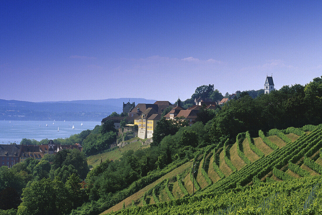 Blick über Weinberge auf die Häuser von Meersburg, Bodensee, Baden-Württemberg, Deutschland