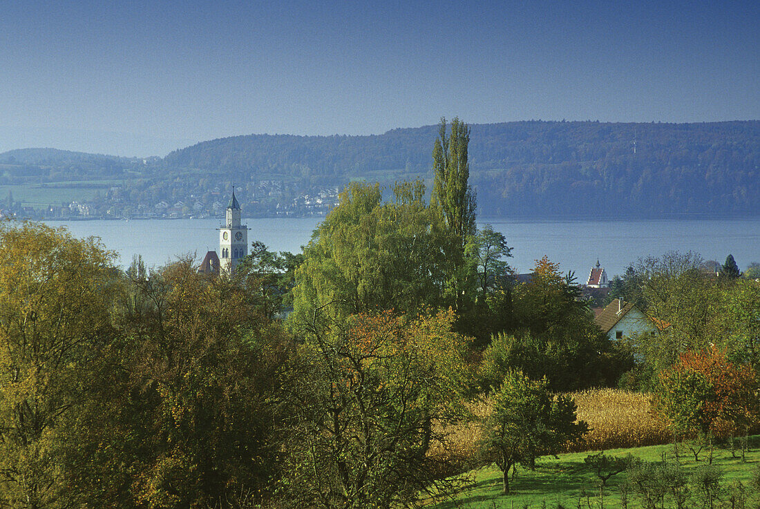 Der Turm des Münsters hinter Bäumen, Überlingen, Bodensee, Baden-Württemberg, Deutschland