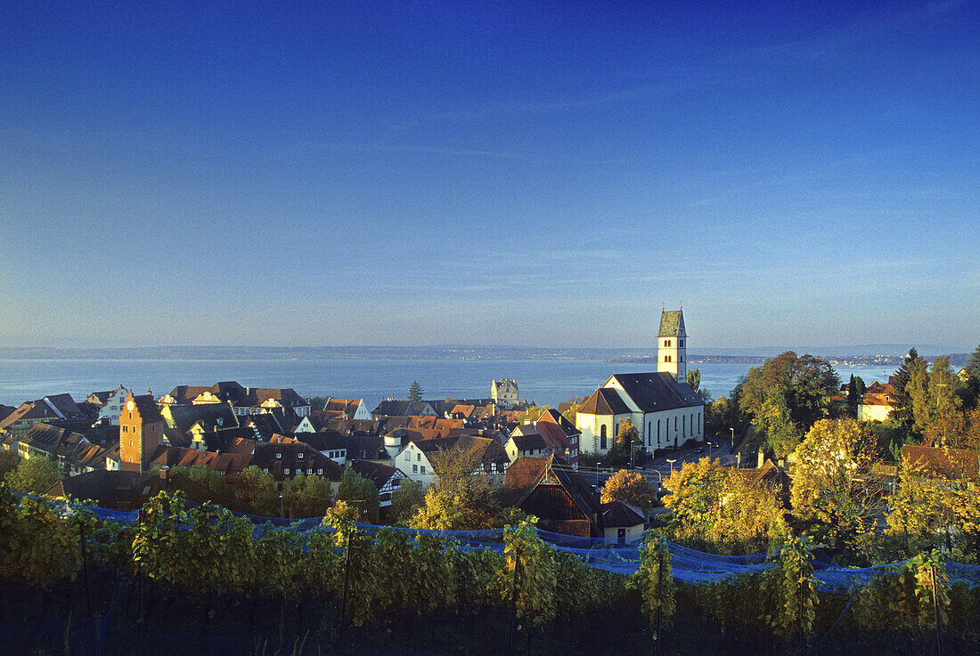 Blick über Weinreben auf Häuser und Kirche von Meersburg, Bodensee, Baden-Württemberg, Deutschland