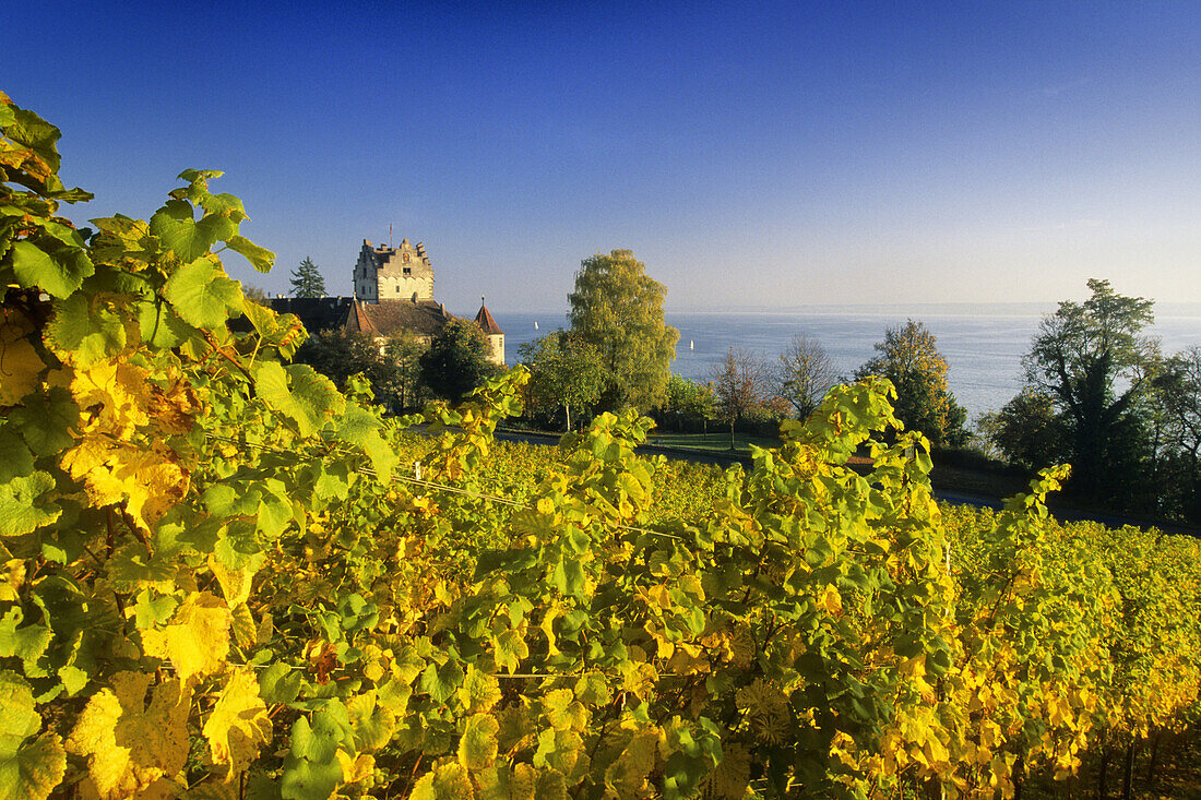 Old Castle, Meersburg, Lake Constance, Baden-Wurttemberg, Germany