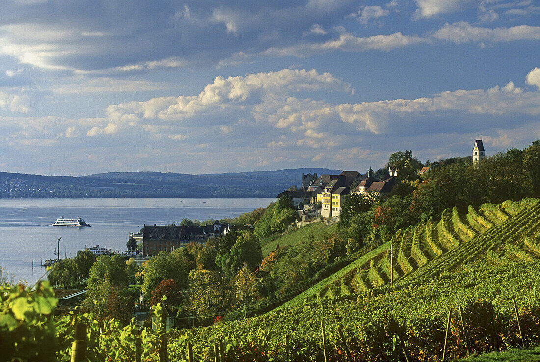 View over vineyard at the houses of Meersburg, Lake Constance, Baden Wurttemberg, Germany