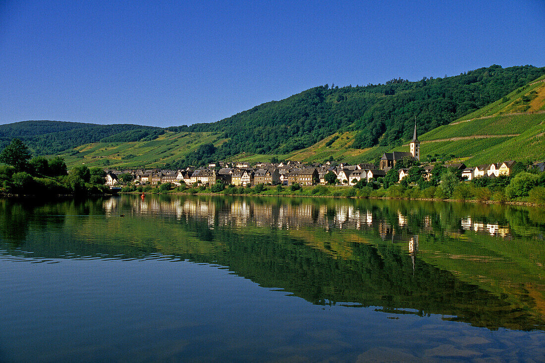 Mosel und die Häuser von Bremm unter blauem Himmel, Bremm, Mosel, Rheinland-Pfalz, Deutschland