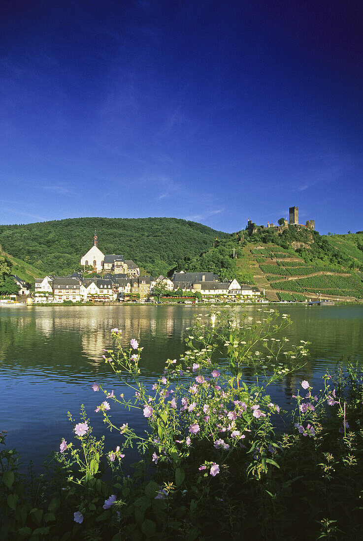 Die Häuser von Beilstein und Burg Metternich im Sonnenlicht, Mosel, Rheinland-Pfalz, Deutschland