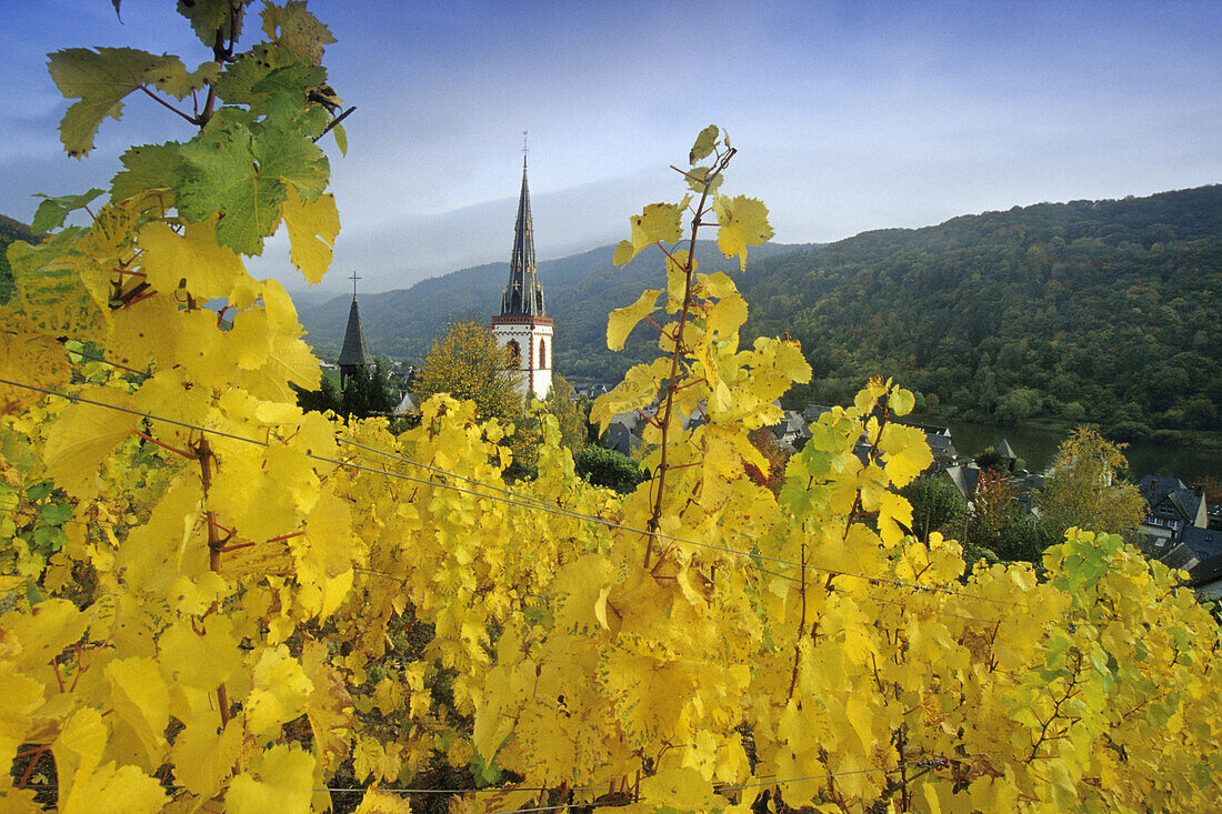 View from a vineyard to church St. Martin, Ediger-Eller, Rhineland-Palatinate, Germany