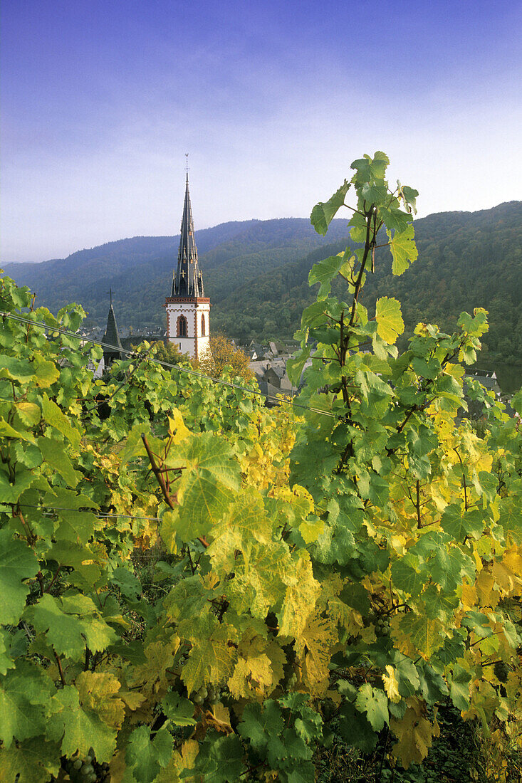 Blick von einem Weinberg auf Kirche St. Martin, Ediger-Eller, Rheinland-Pfalz, Deutschland