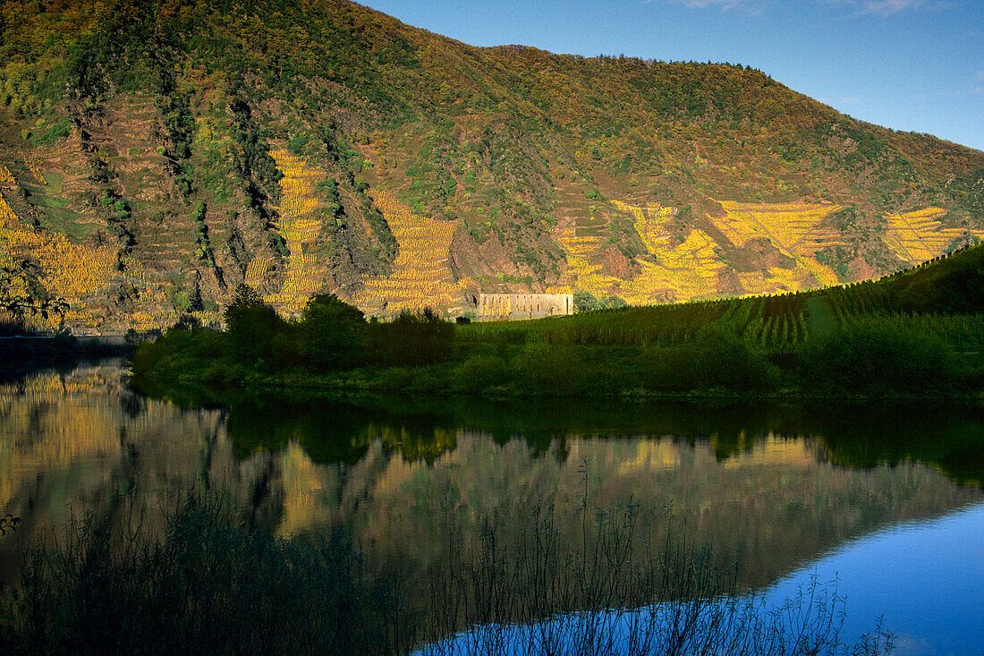 Ruins of Stuben abbey at the bank of Mosel river, Rhineland-Palatinate, Germany