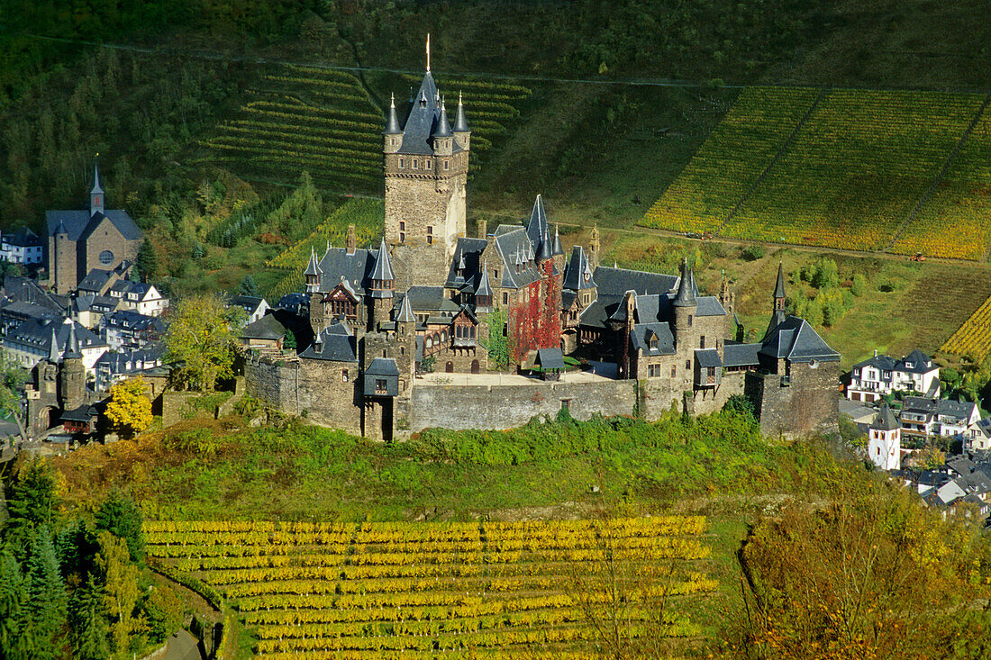 Blick auf die Reichsburg inmitten Weinfeldern, Rheinland-Pfalz, Deutschland