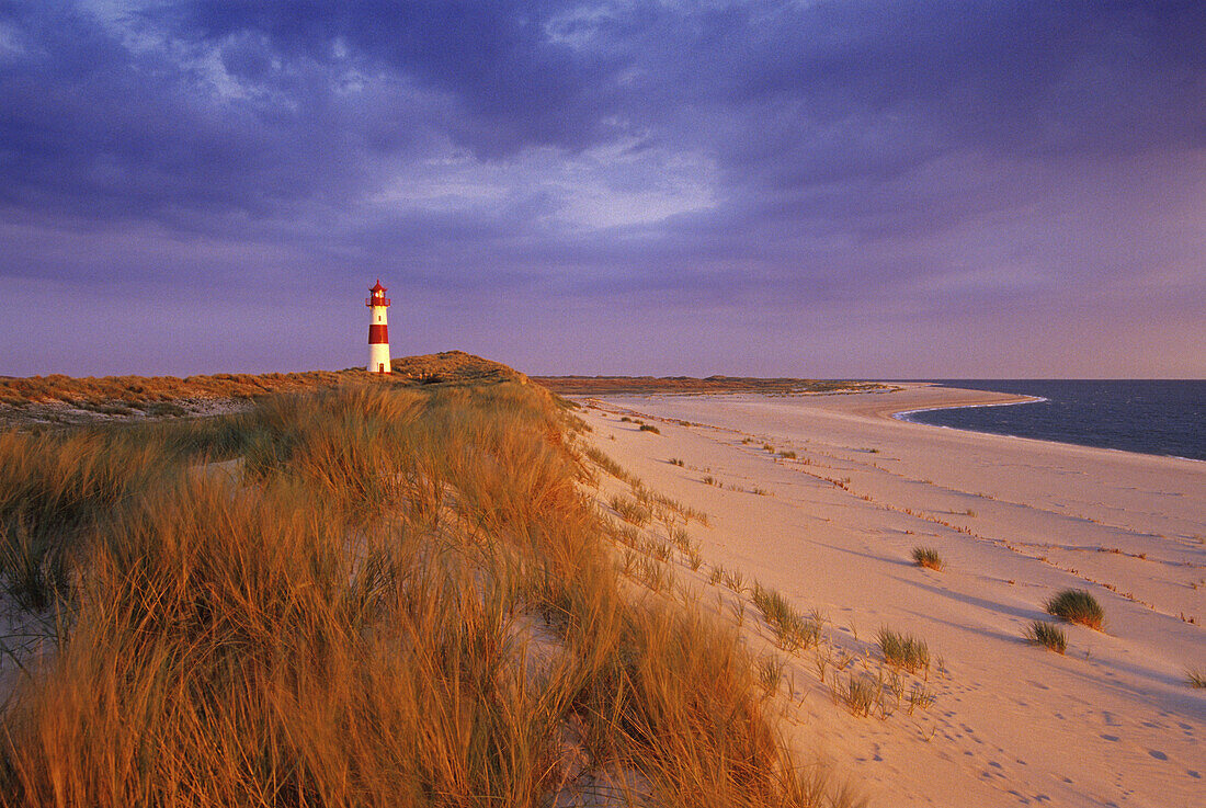 Lighthouse in the dunes in the evening, Ostenellenbogen, Sylt island, North Friesland, North Sea, Schleswig-Holstein, Germany