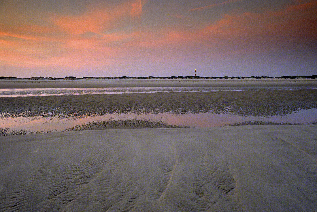 Evening mood at the deserted Kniepsand beach, Amrum island, North Friesland, North Sea, Schleswig-Holstein, Germany