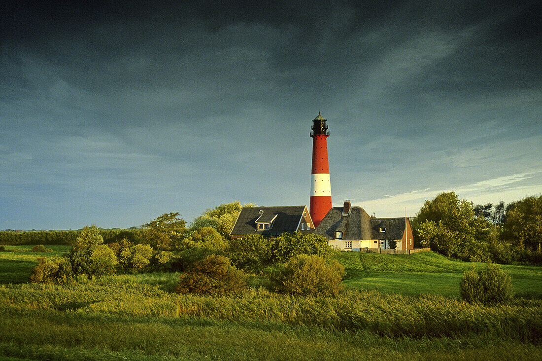 Leuchtturm, Insel Pellworm, Schleswig-Holstein, Deutschland