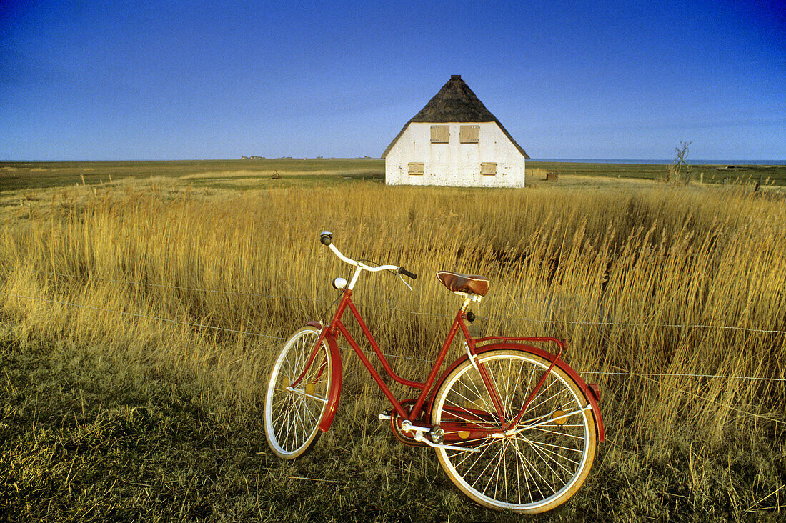 Fahrrad vor einer Warft, Hallig Langeneß, Schleswig-Holstein, Deutschland