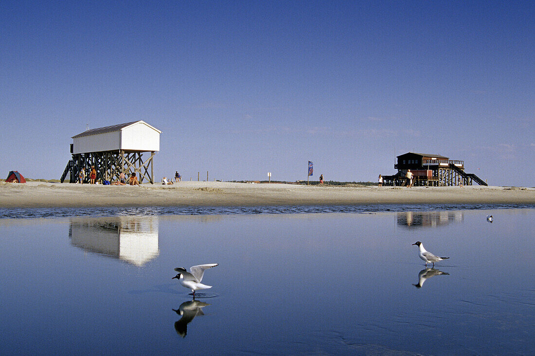 Stelzenhäuser am Strand von St. Peter-Ording, Schleswig-Holstein, Deutschland