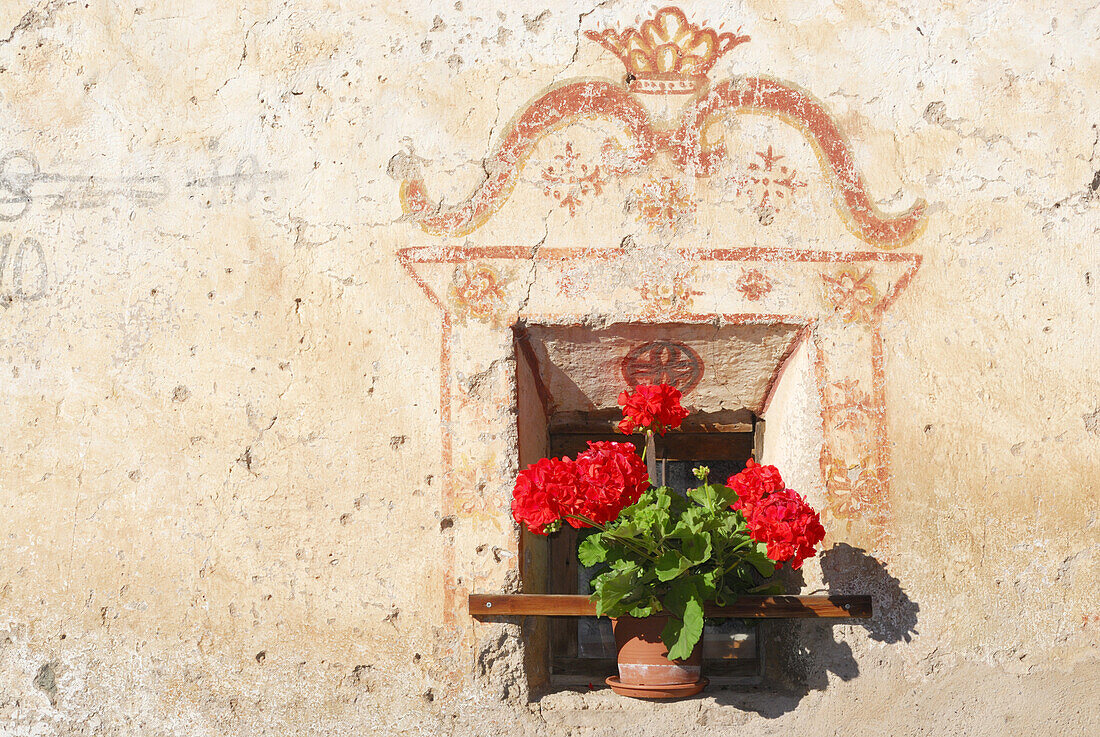 Window with geranium, Villnoess, Dolomites, South Tyrol, Italy