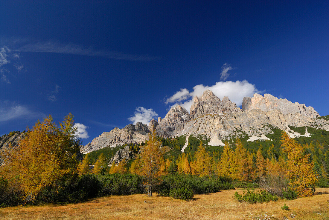 Cristallo range above larches in autumn colours, Dolomites, South Tyrol, Italy