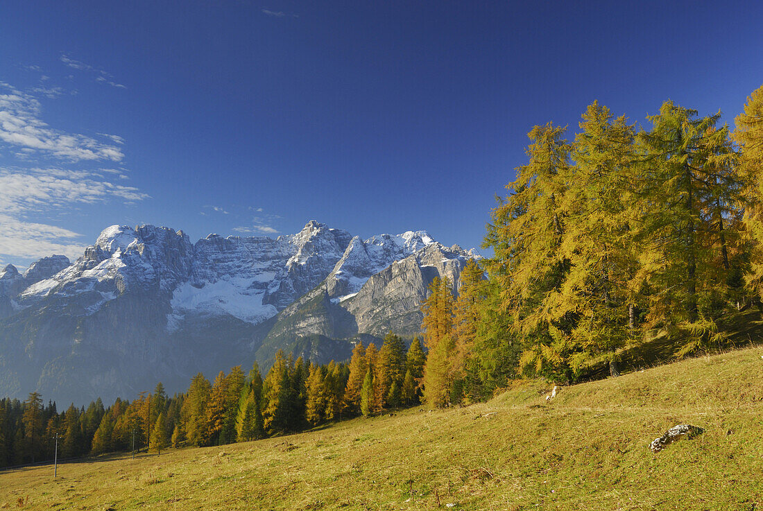 Sorapiss range with larches in autumn colors, Dolomites, Veneto, Italy