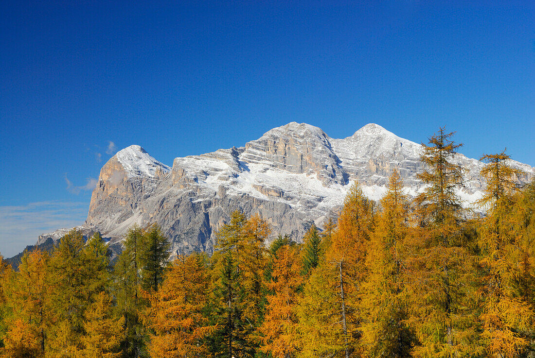 Tofanagruppe mit herbstlich verfärbten Lärchen, Dolomiten, Tofana, Südtirol, Italien