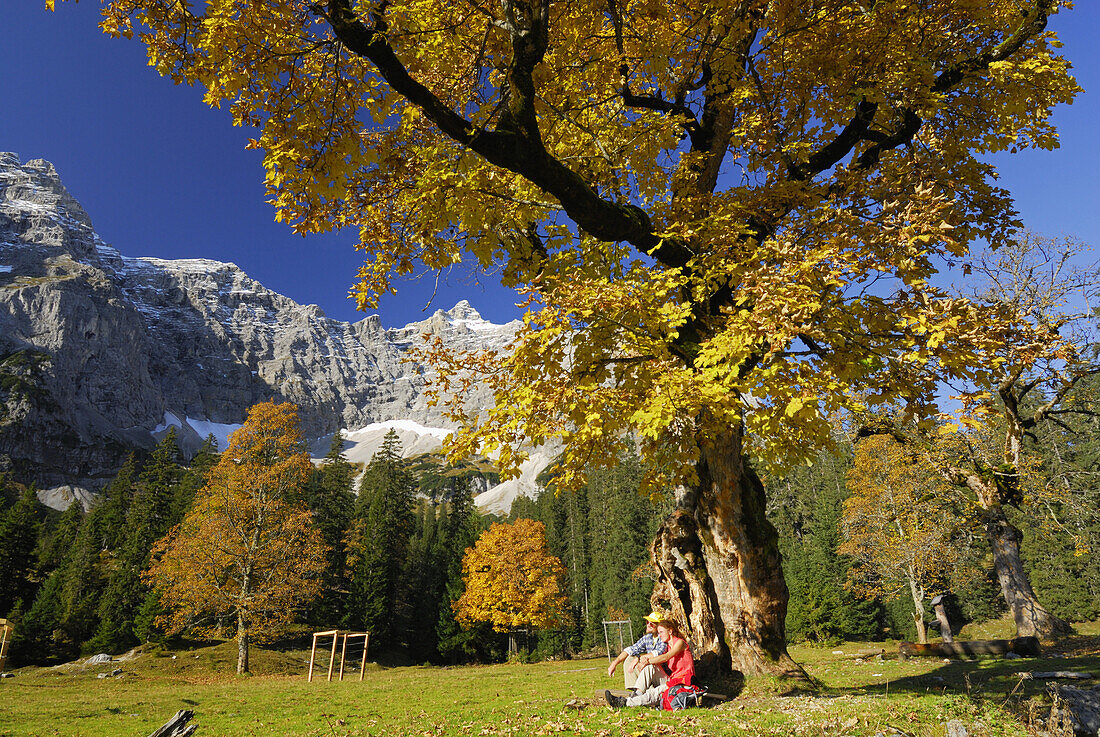 Couple sitting beneath maple tree in autumn colors, Kleiner Ahornboden, Karwendel range, Tyrol, Austria