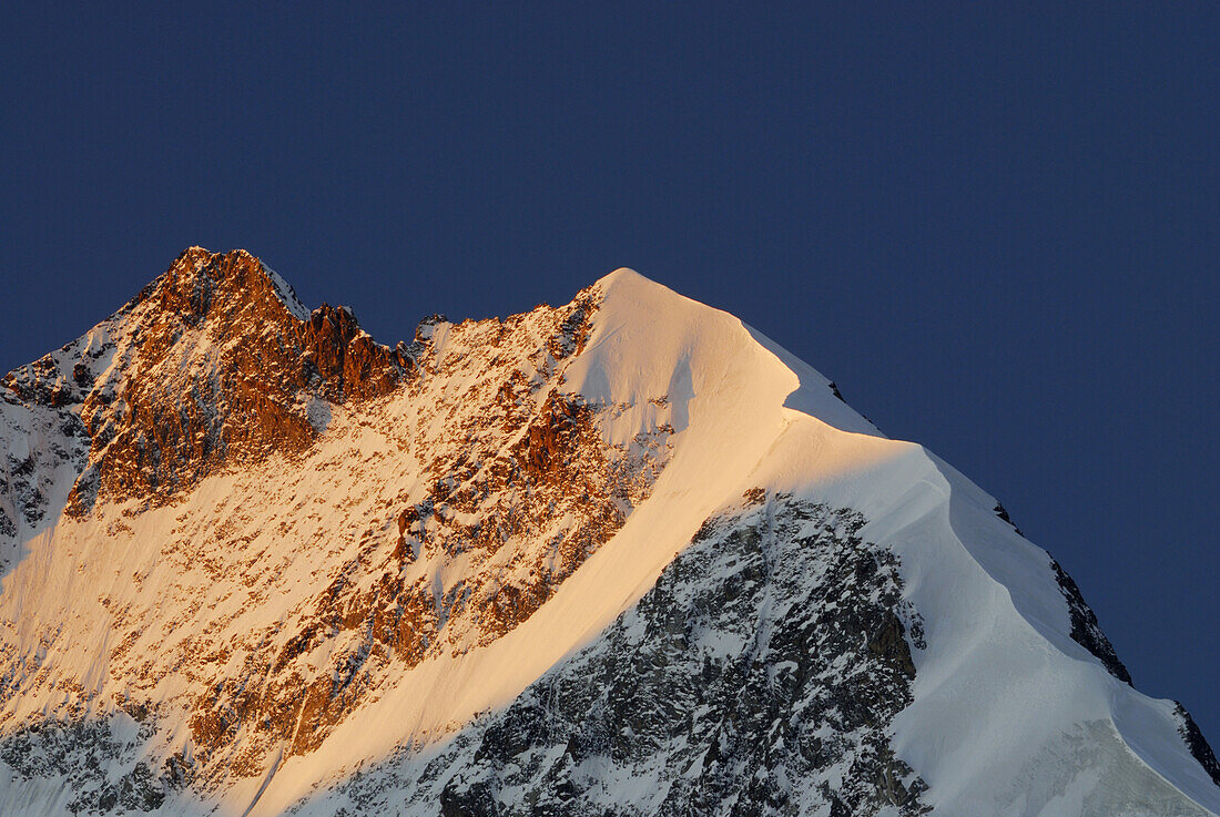 Piz Bernina mit Biancograt im Alpenglühen, Oberengadin, Engadin, Graubünden, Schweiz