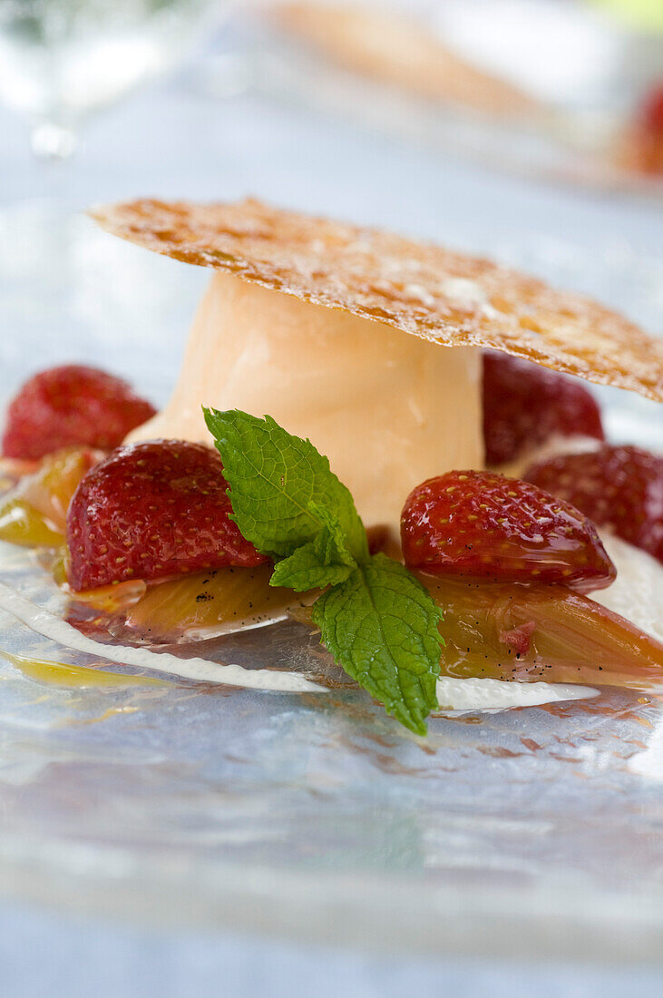 Dessert with strawberries and ice cream, Restaurant Guth, Lauterach, Lake Constance, Austria