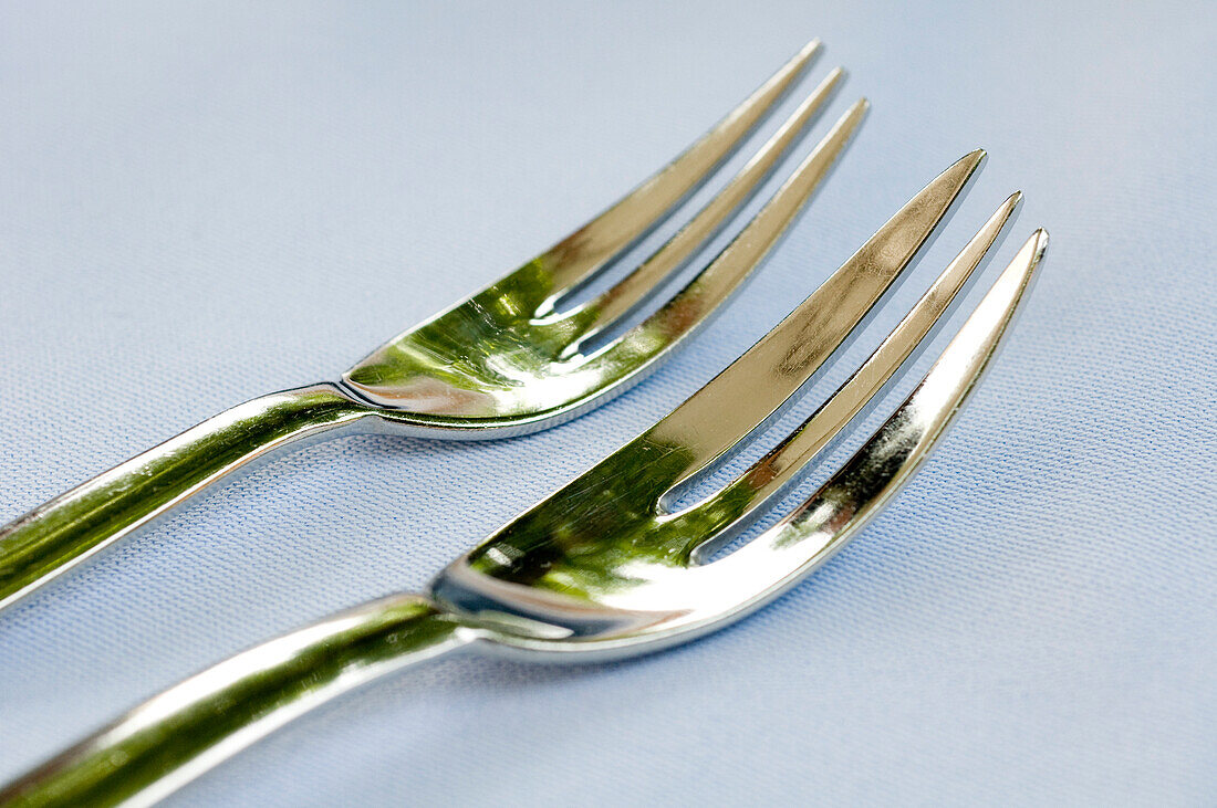 Two forks, Restaurant Guth, Lauterach, Lake Constance, Austria