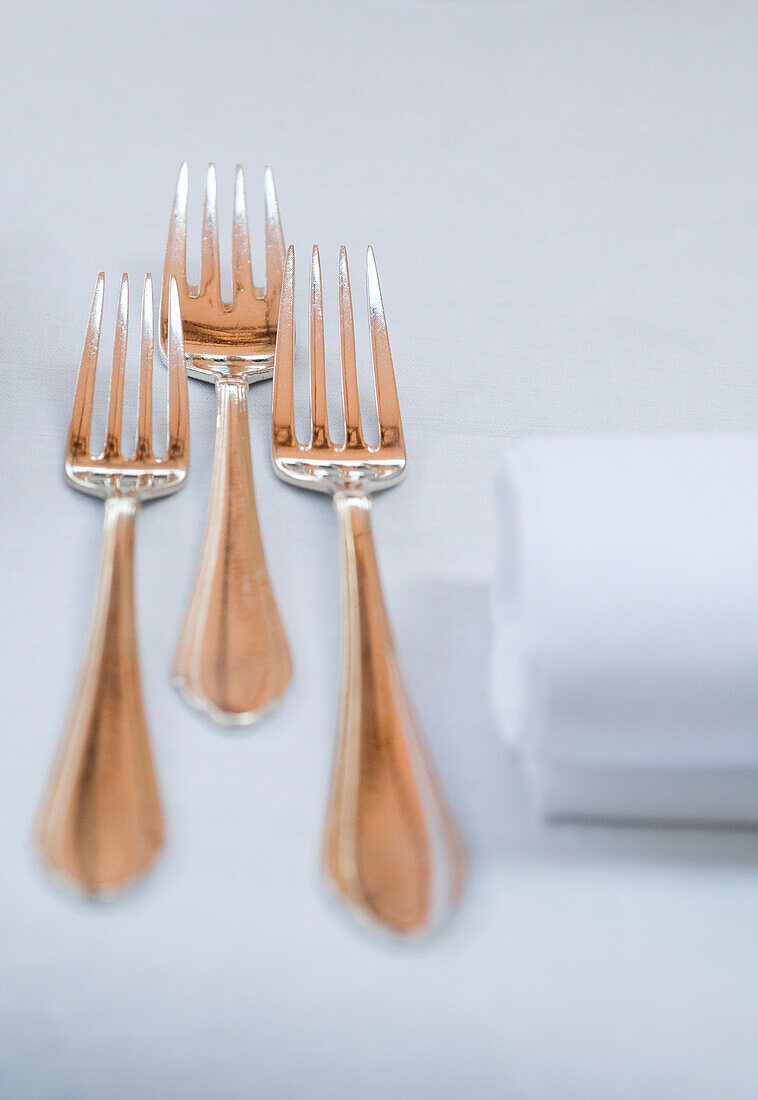 Three forks, Restaurant Villino, Lindau, Lake Constance, Germany