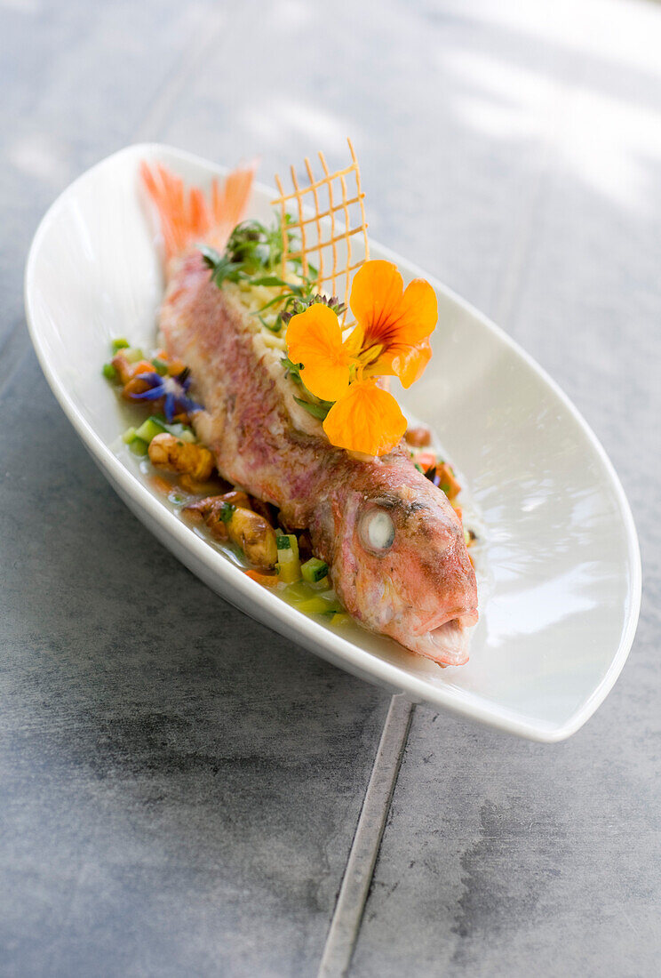 Fried fish with vegetables and mushrooms, Restaurant Falconera, Öhningen-Schienen, Baden-Württemberg, Lake Constance, Germany