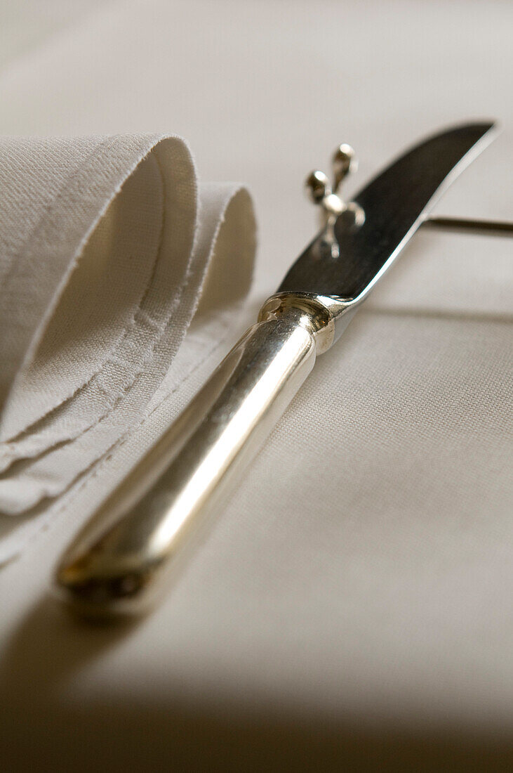 Close-up of a knife, Restaurant Philipp, Sommerhausen, Franconia, Bavaria, Germany