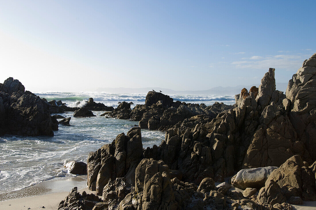 View at rocks and surge in the sunlight, Walker Bay, Gansbaai, Western Cape, South Africa, Africa