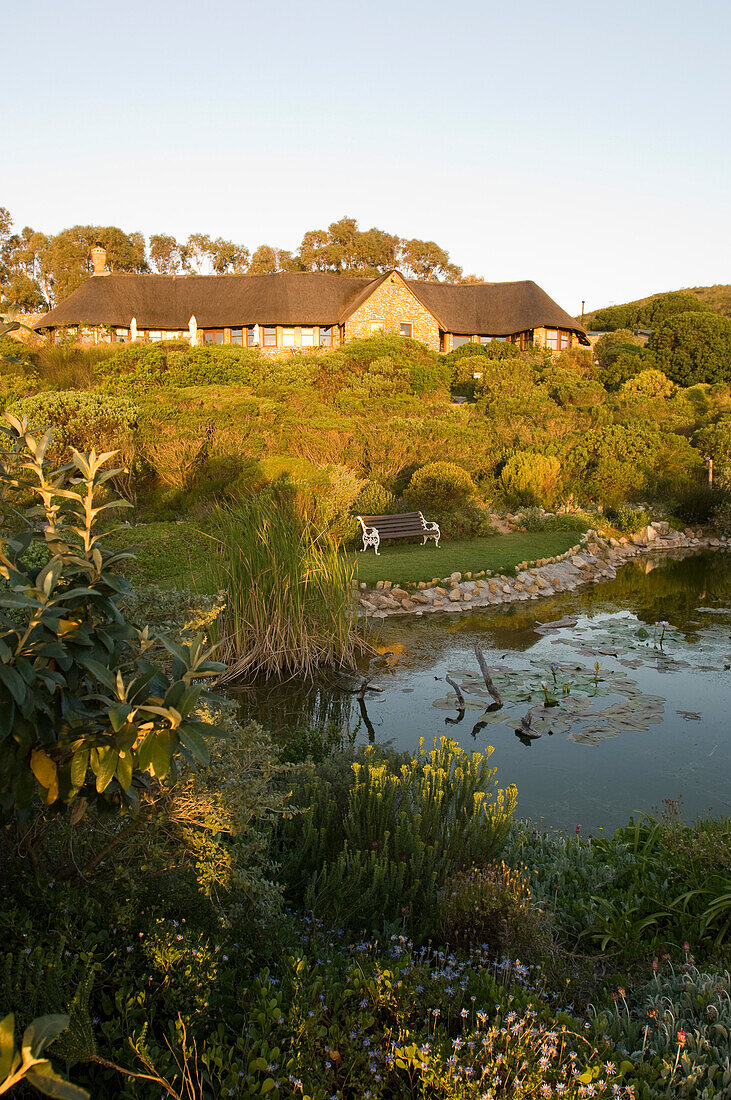 Blick auf Garten mit Teich und ein Haus im Sonnenlicht, Garden Lodge, Gansbaai, Grootbos Naturschutzgebiet, Südafrika, Afrika