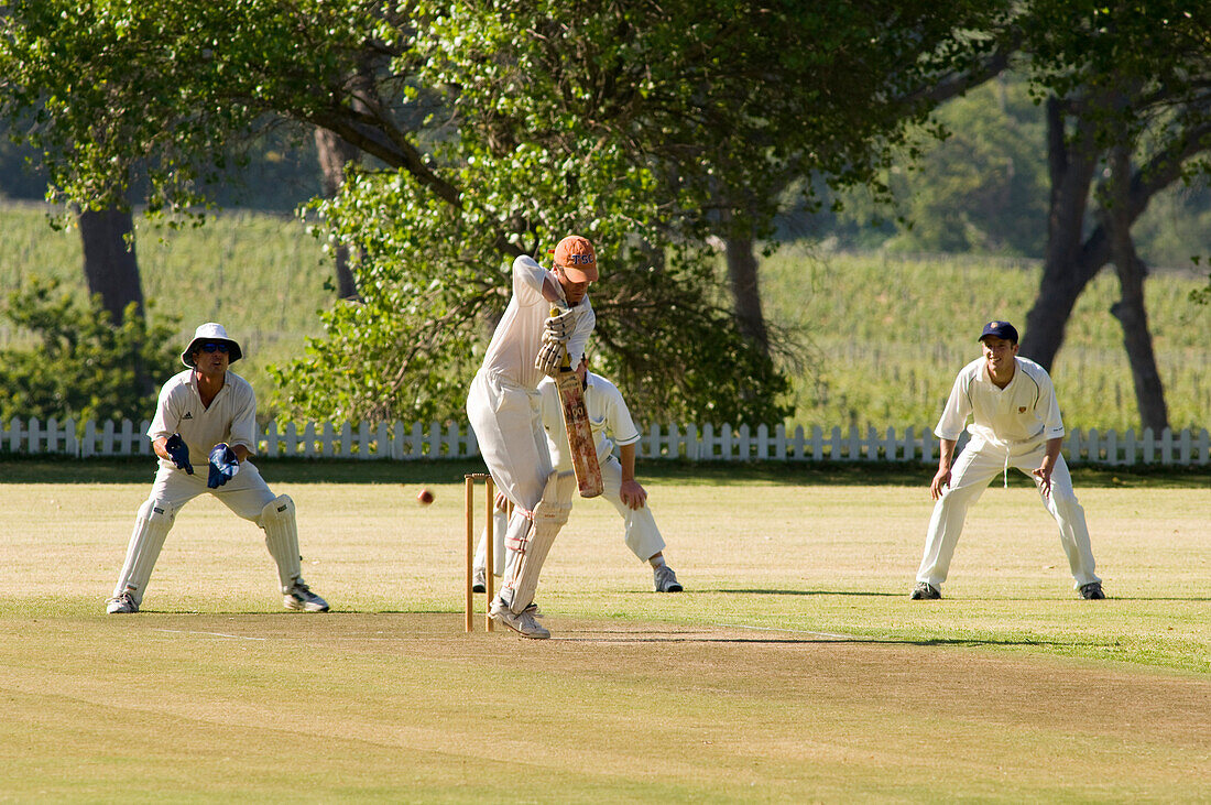 People playing cricket at uitsig Cricket Club, Constania, Cape Town, South Africa, Africa