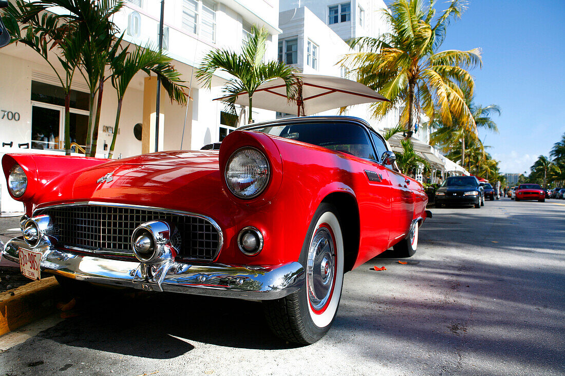 Roter Sportwagen auf dem Ocean Drive im Sonnenlicht, Miami Beach, Florida, USA