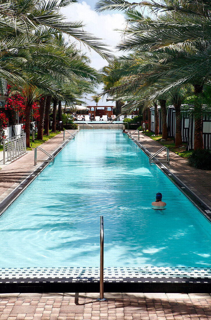 View at the swimming pool of the National Hotel in the sunlight, South Beach, Miami Beach, Florida, USA