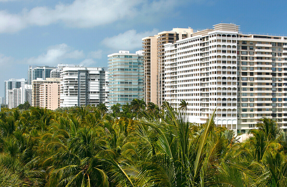 Wohnblöcke hinter Palmen, Condominium towers, Surfside, Miami Beach, Florida, USA