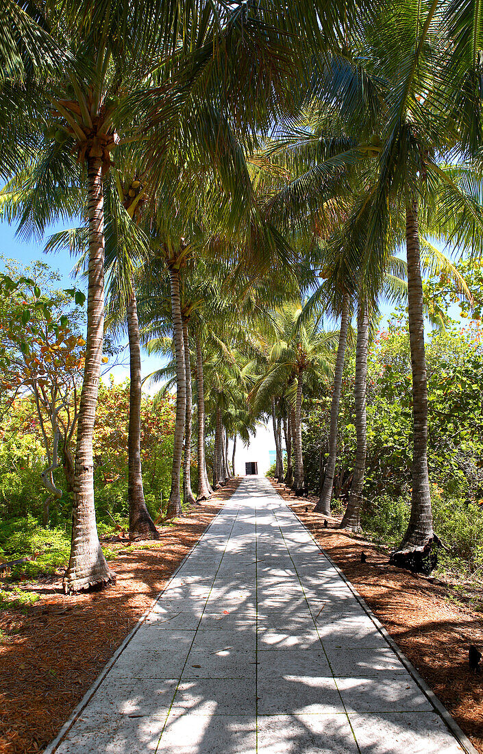 A deserted alley and palm trees at Bill Baggs State Park, Key Biscayne, Miami, Florida, USA