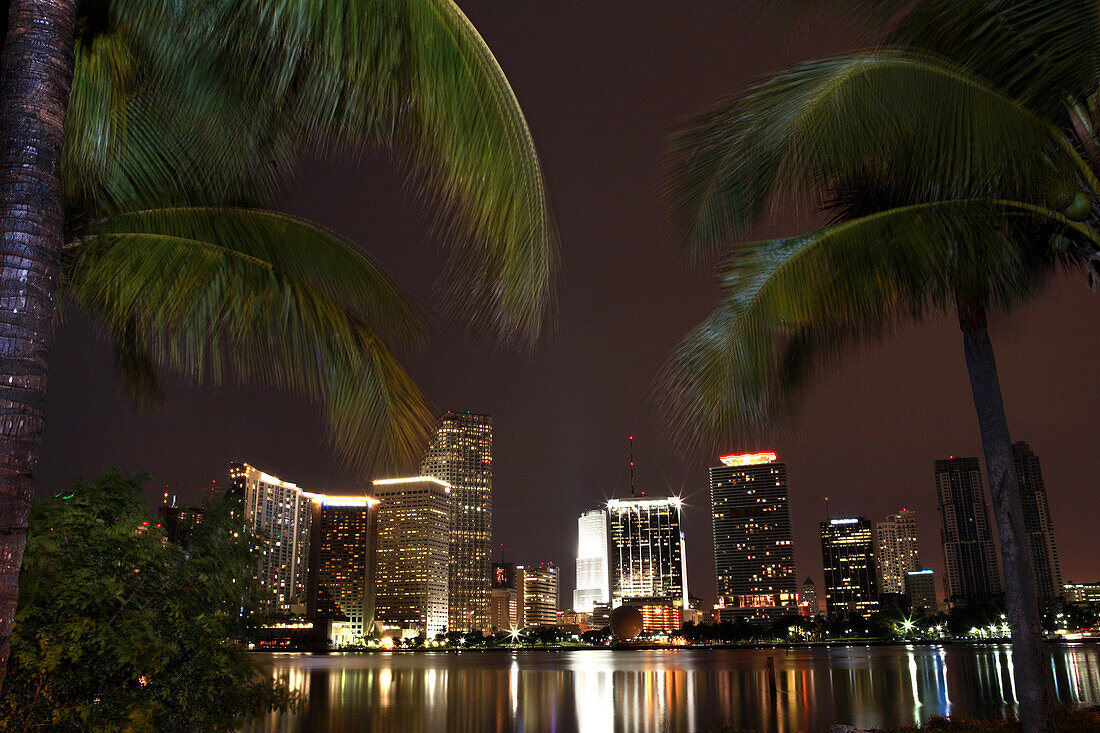 The illuminated high rise buildings at downtown at night, Miami, Florida, USA
