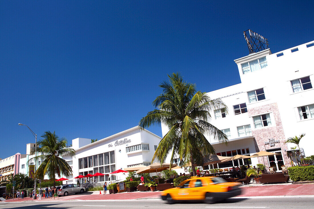 Das Catalina Beach Club Hotel unter blauem Himmel, Collins Avenue, South Beach, Miami Beach, Florida, USA