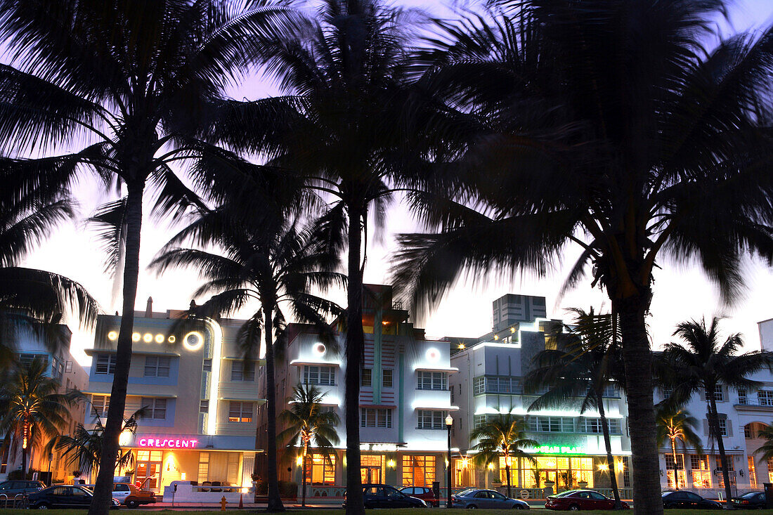 Palm trees in front of illuminated hotels in the evening, Ocean Drive, South Beach, Miami Beach, Florida, USA