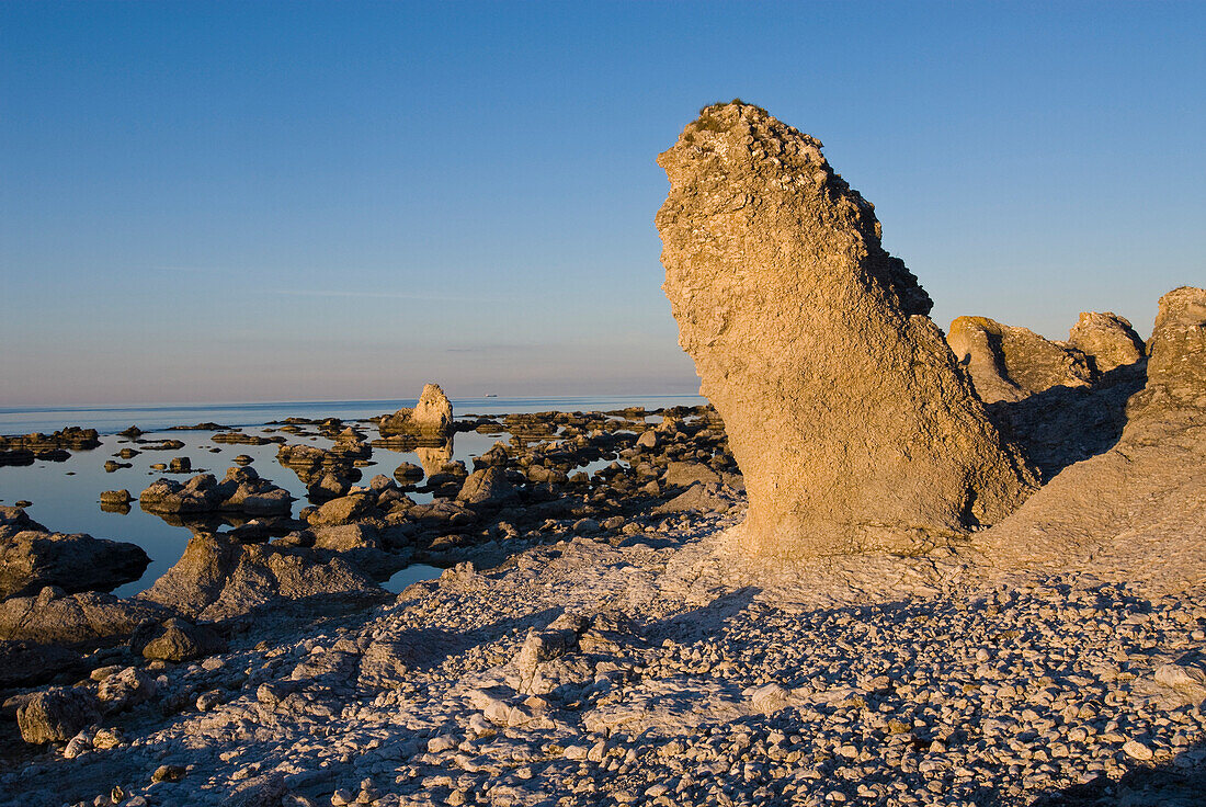 Hohe kalksteinsäulen, Raukar, in der Nähe von Lauter, Nordwest Küste, Farö, Gotland, Schweden, Skandinavien, Europa