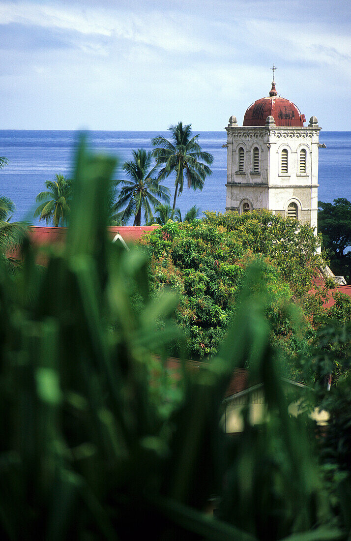 The church tower of the catholic mission behind treetops, Waikiri, Island of Taveuni, Fiji, South Seas, Oceania