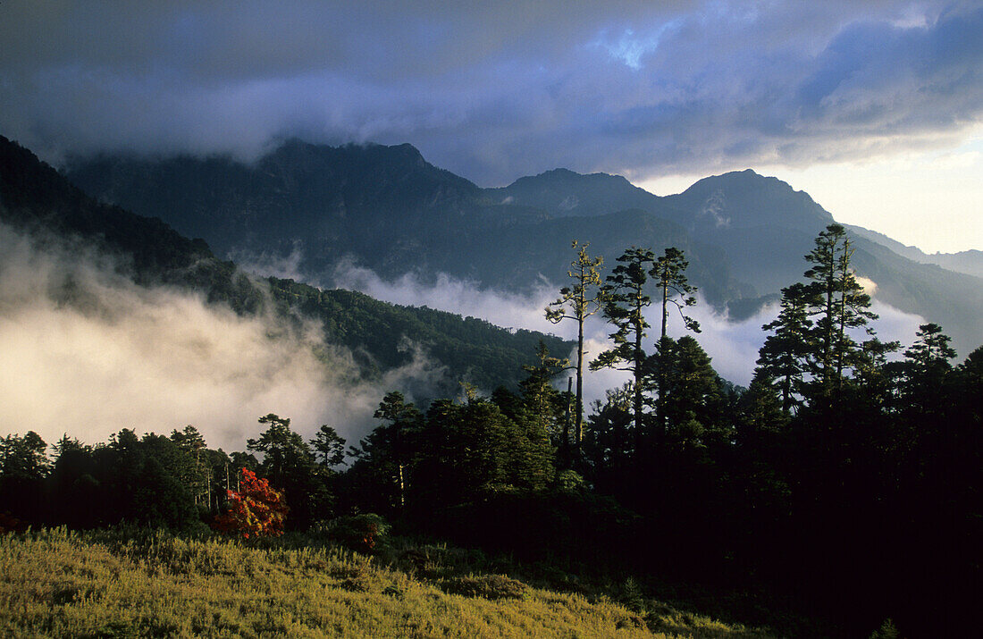 Morgennebel zwischen den Bergen im Shei-Pa Nationalpark, Taiwan, Asien