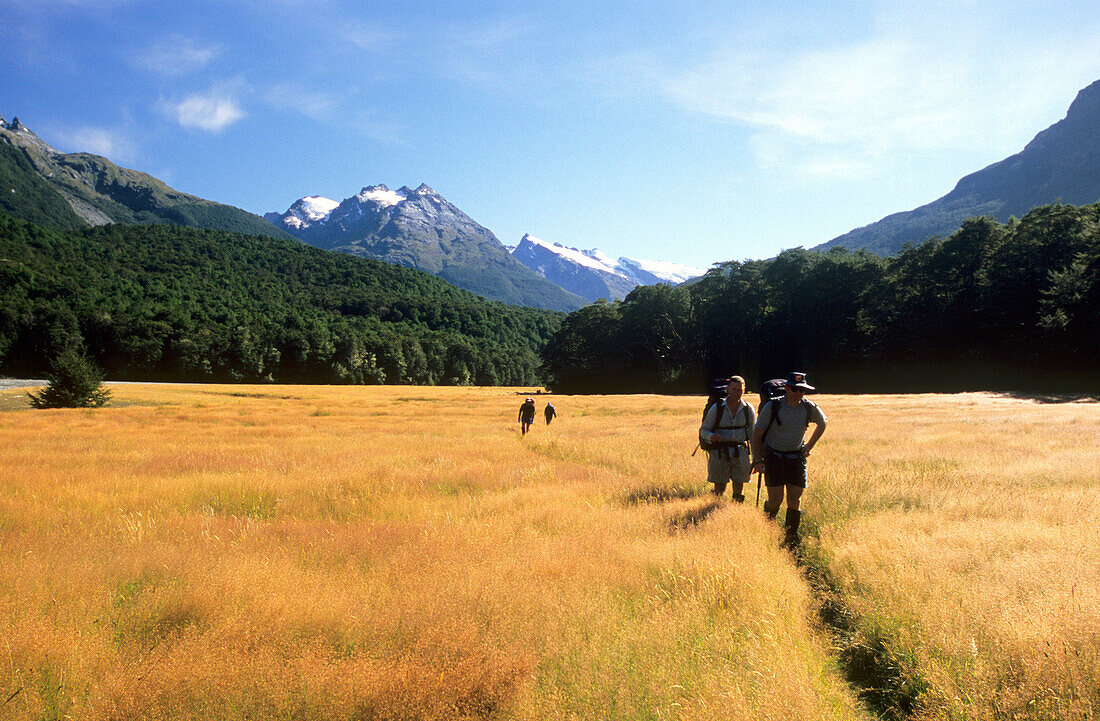 Trekker im idyllischen Dart Valley auf dem Rees Dart Track, Mt. Aspiring National Park, Südinsel, Neuseeland, Ozeanien