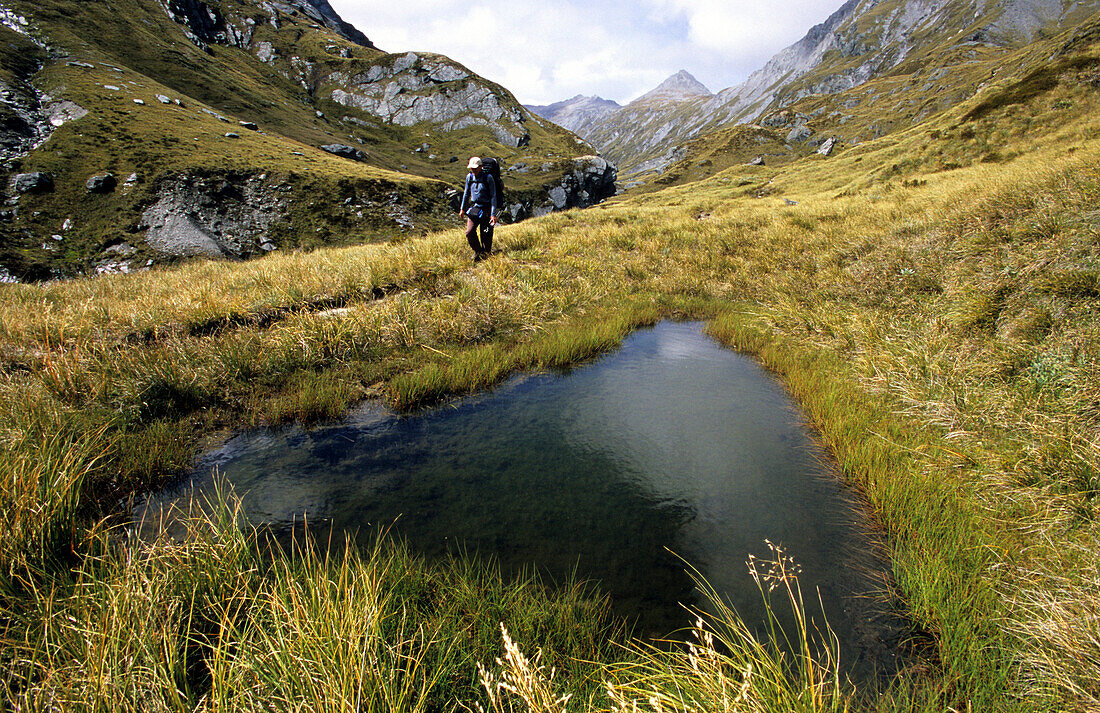 Trekker hiking on the Rees Dart Track at the valley of Snowy Creek, Mt Aspiring National Park, South Island, New Zealand, Oceania