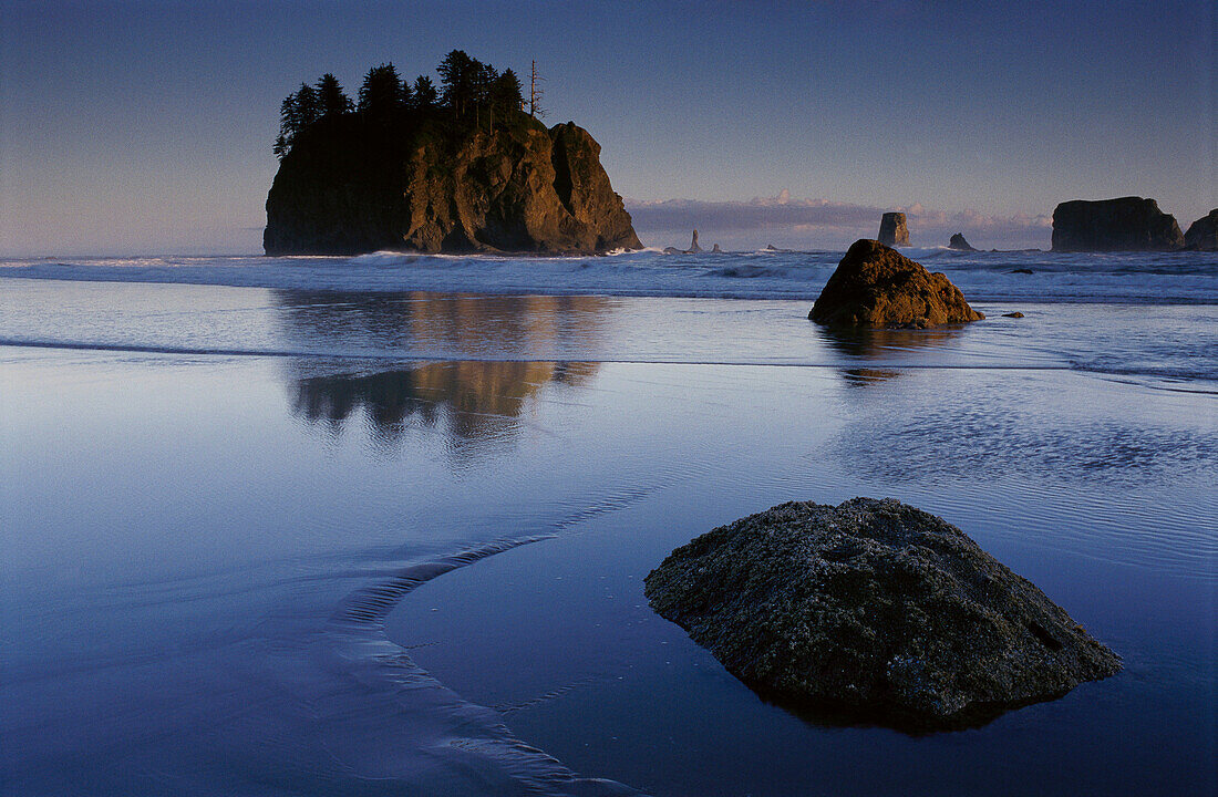 Second Beach near sunset, Olympic National Park. Washington, USA