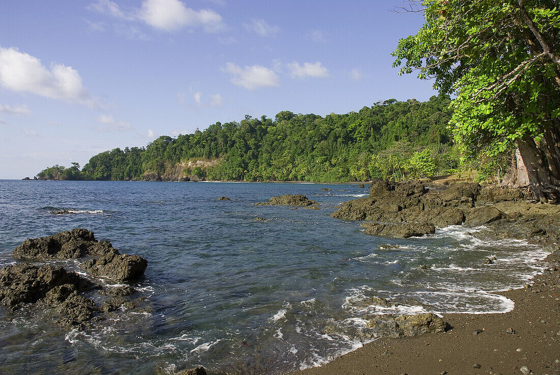 Corcovado National Park, Costa Rica. Osa Peninsula.