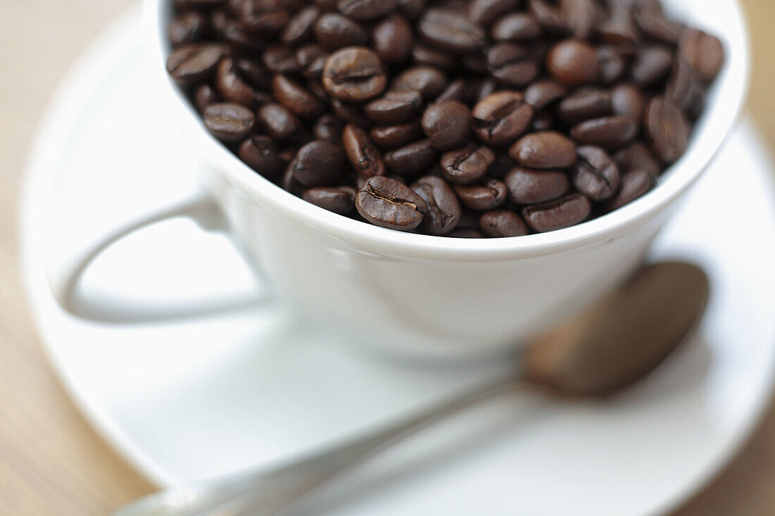 Abundance, Abundant, Brown, Close up, Close-up, Closeup, Coffee, Coffee bean, Coffee beans, Color, Colour, Cup, Cups, Food, Foodstuff, Full, Indoor, Indoors, Interior, Many, Mug, Mugs, Plenty, Produce, Product, Products, Saucer, Saucers, Spoon, Spoons, St