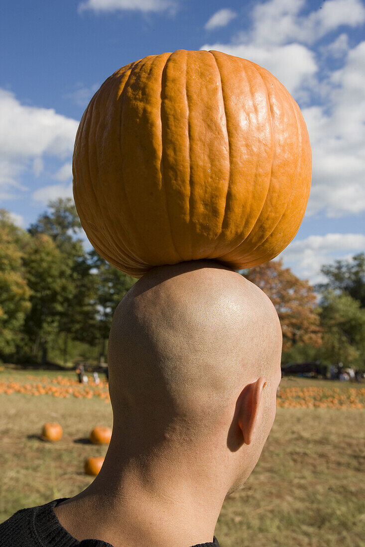 Pumpkin balanced on bald man's head