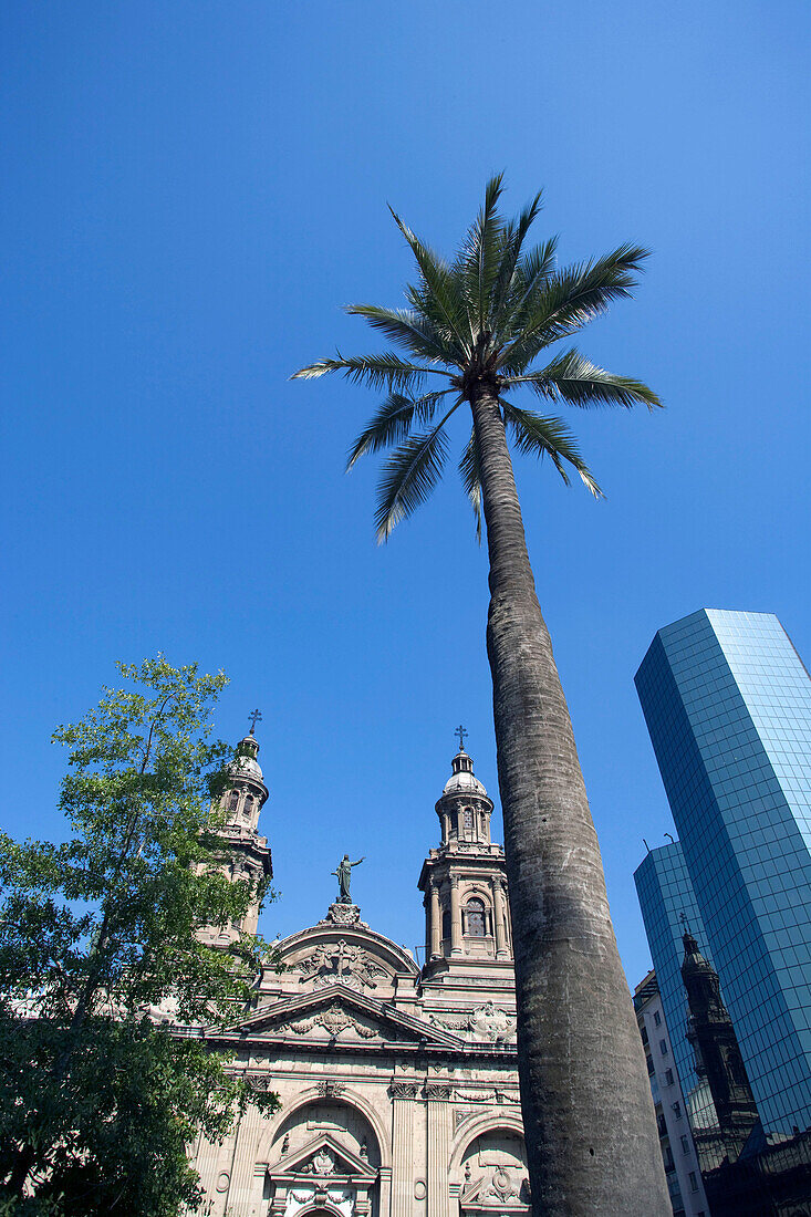 Metropolitan cathedral Plaza de Armas. Santiago. Chile.